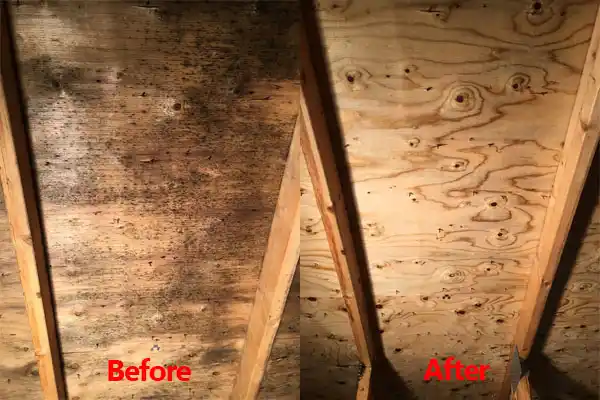 water damage restoration service Roseville
